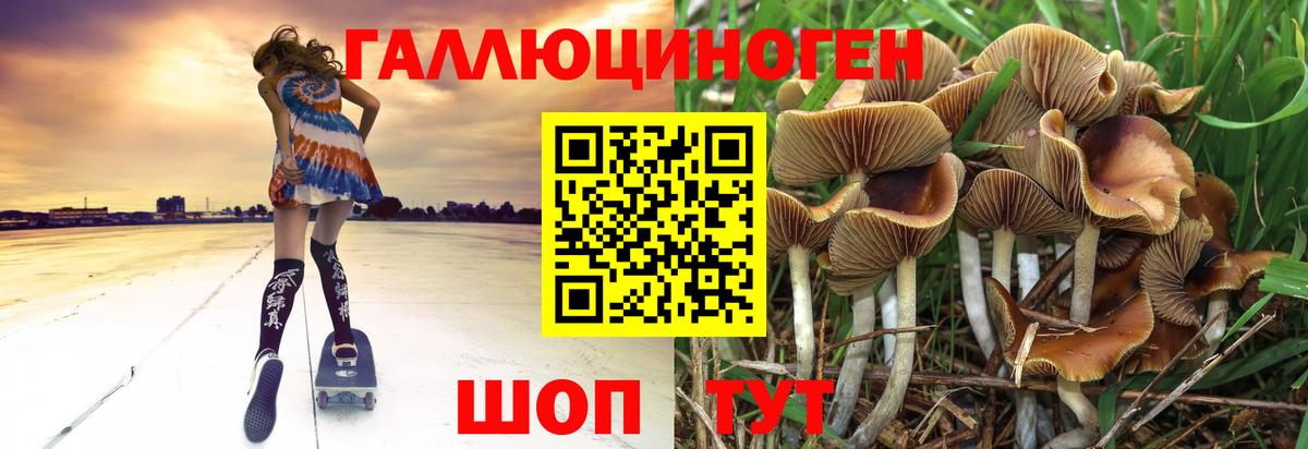 Галлюциногенные грибы Psilocybine cubensis  Вход с VPN  купить   Ишимбай  Псилоцибиновые грибы Cubensis 